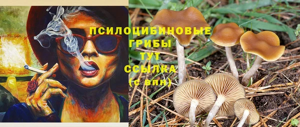 прущая мука Дмитровск