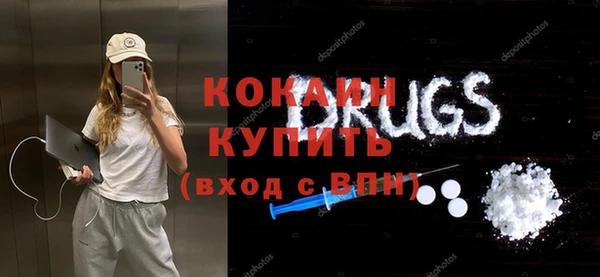стаф Гусь-Хрустальный