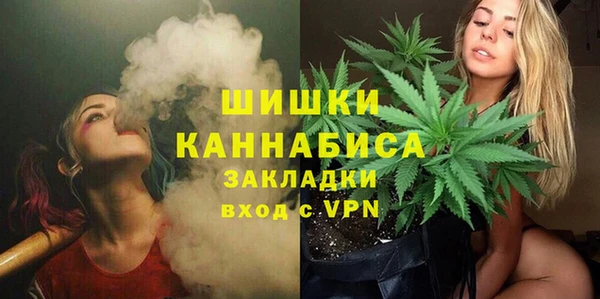 СК Дмитров