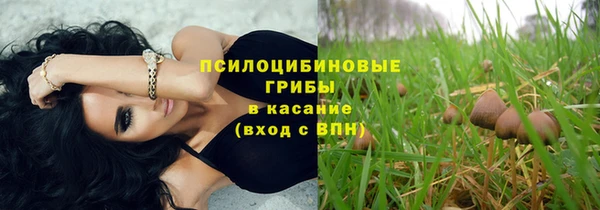 СК Дмитров